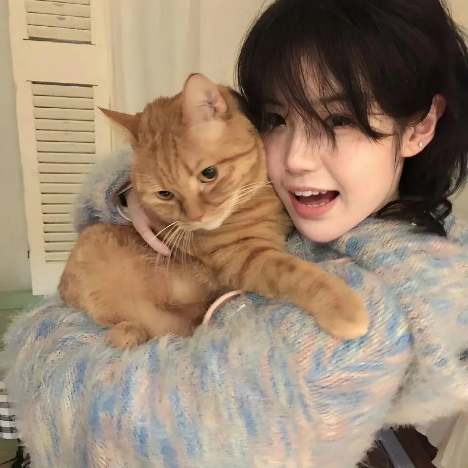 碧血洗银枪粤语